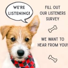 Take our Survery image