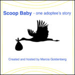 A graphic of a stork flying with a a satchel, and the text, "Scoop Baby - one adoptee's story"